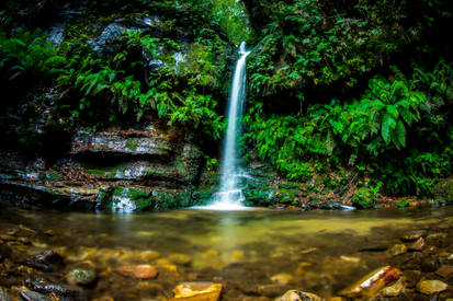 Cascading through the Forest