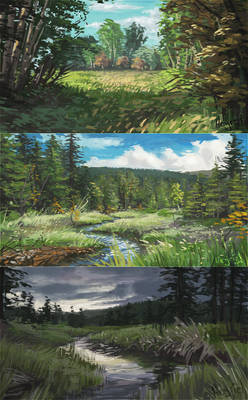 Environment Studies