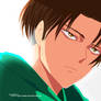 Levi Rivaille