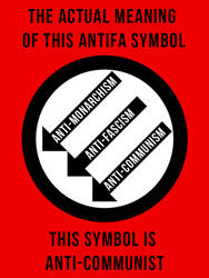 About that popular antifascist symbol...