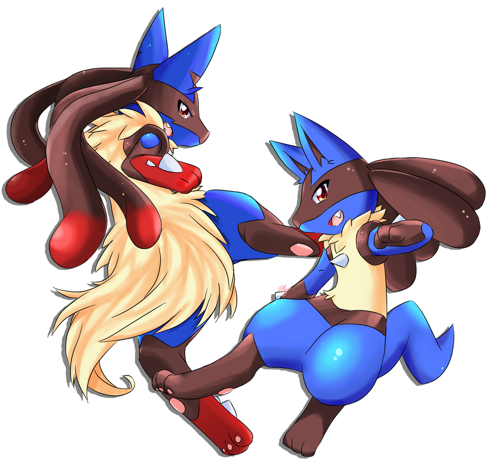 Lucario + Warr