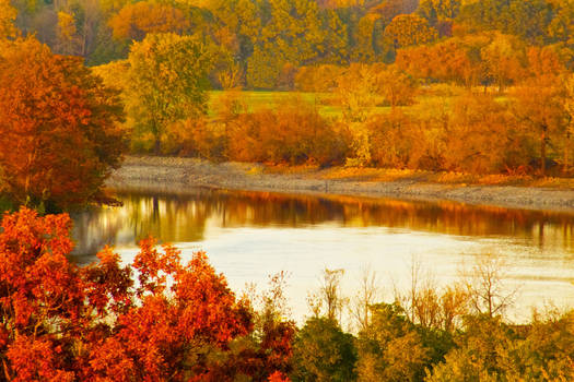 Autumn by the river