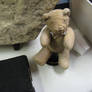 Fossilized Teddy Bear