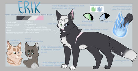 ref sheet - erik 2017