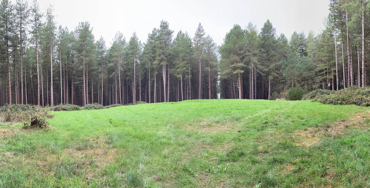 Iceni Burial Mound, King's Forest by Evets63 on DeviantArt