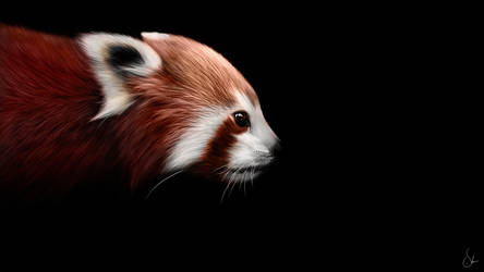 + Red Panda + by sven-werren