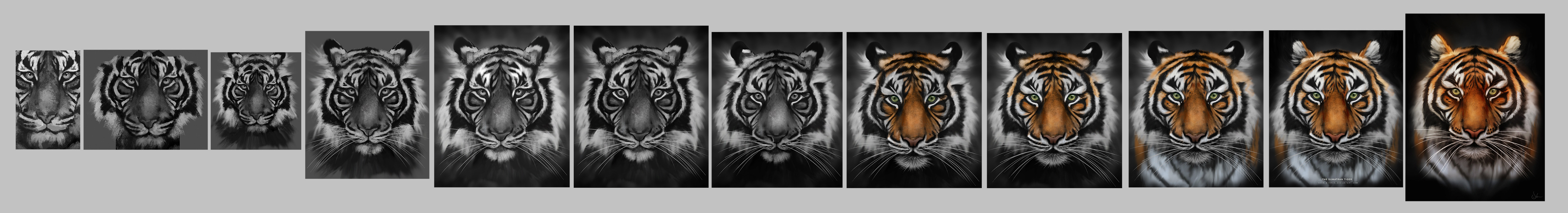 Save The Tiger - Step by Step