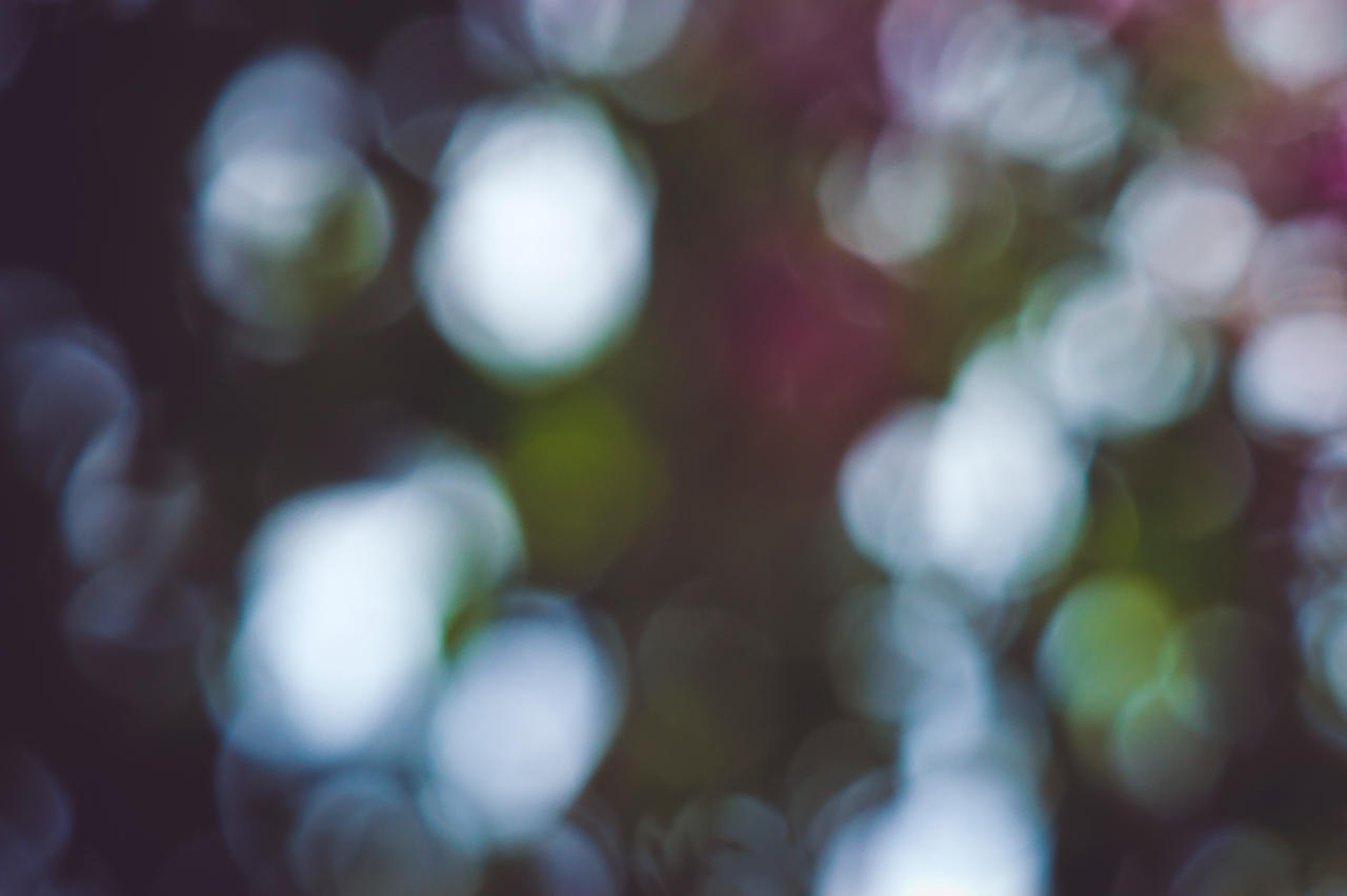 Free texture | Bokeh