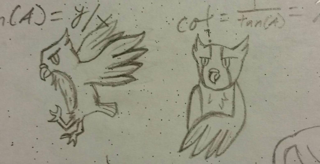 Ocelot Doing Math Math Owls by Hawkstar13DarkClan on DeviantArt