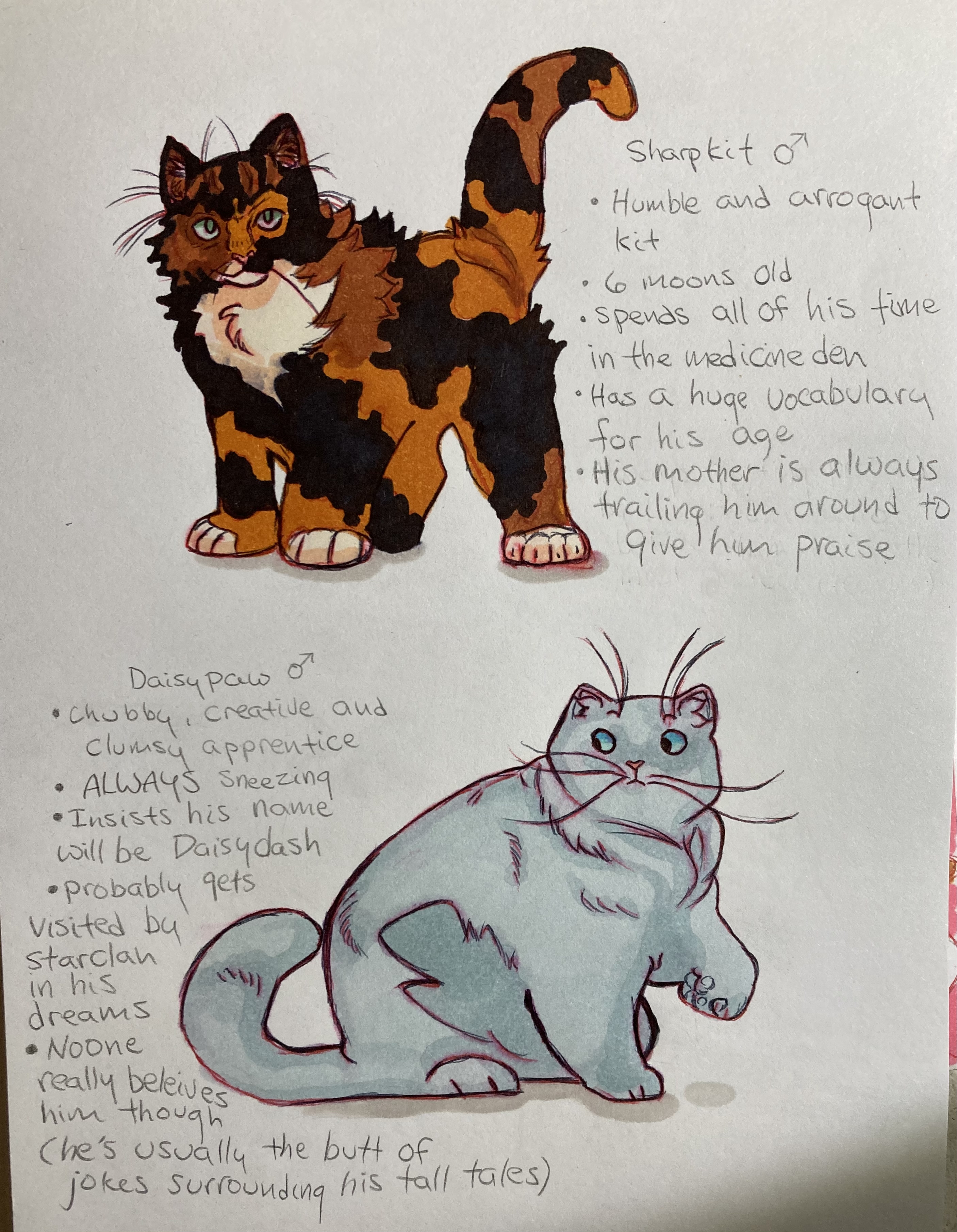 warrior cat adopts - closed by ClimbToTheStars on DeviantArt