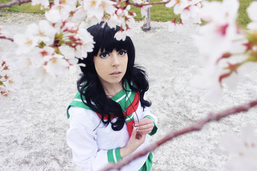 Kagome Spring Blossoms - Inuyasha Cosplay