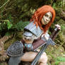 Skyrim - Aela