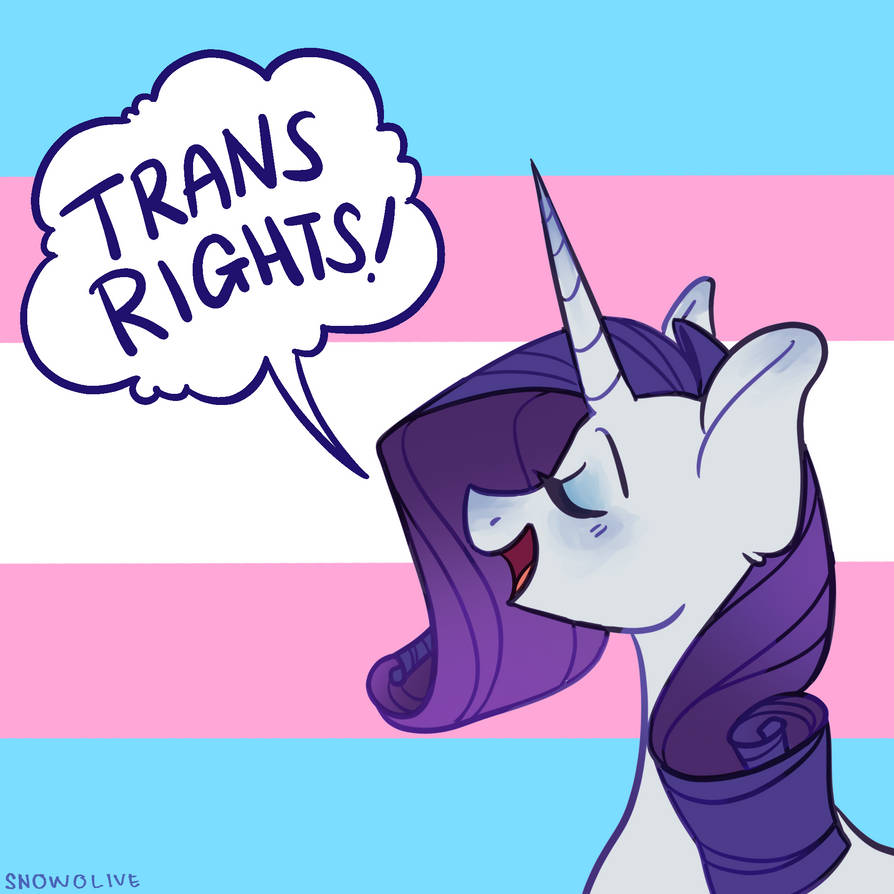 rarity says trans rights by snowolive on DeviantArt