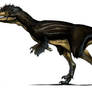 Austroraptor profile