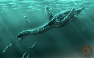 Plesiosaur