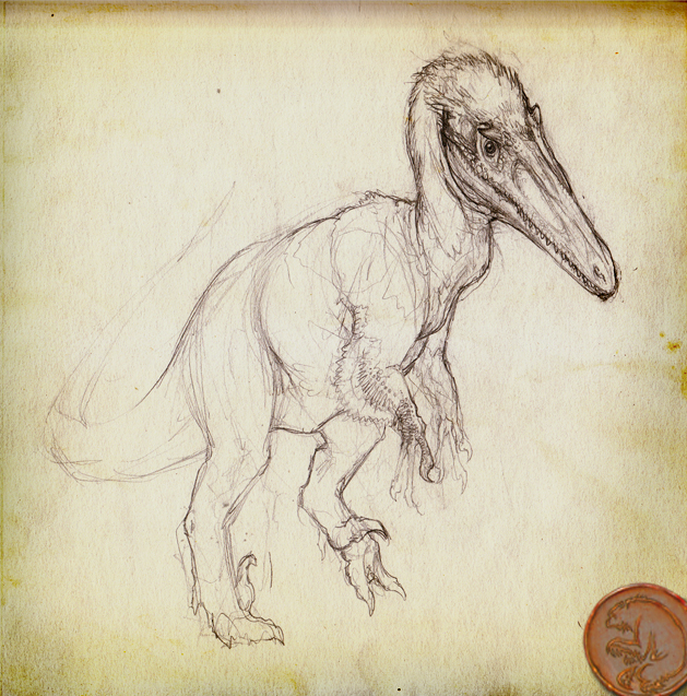 Austroraptor Sketch