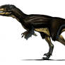 Austroraptor again.