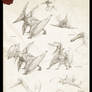 Pterosaurs