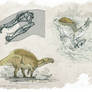 Spinosaurus aegyptiacus All Yestered