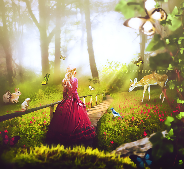 A Midsummer Daydream