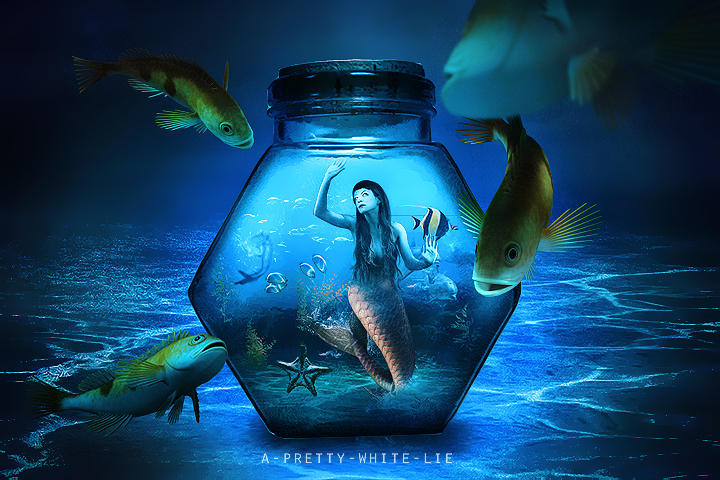 Aquarium by a-pretty-white-lie