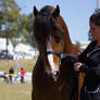 STOCK - Gold Coast show 246