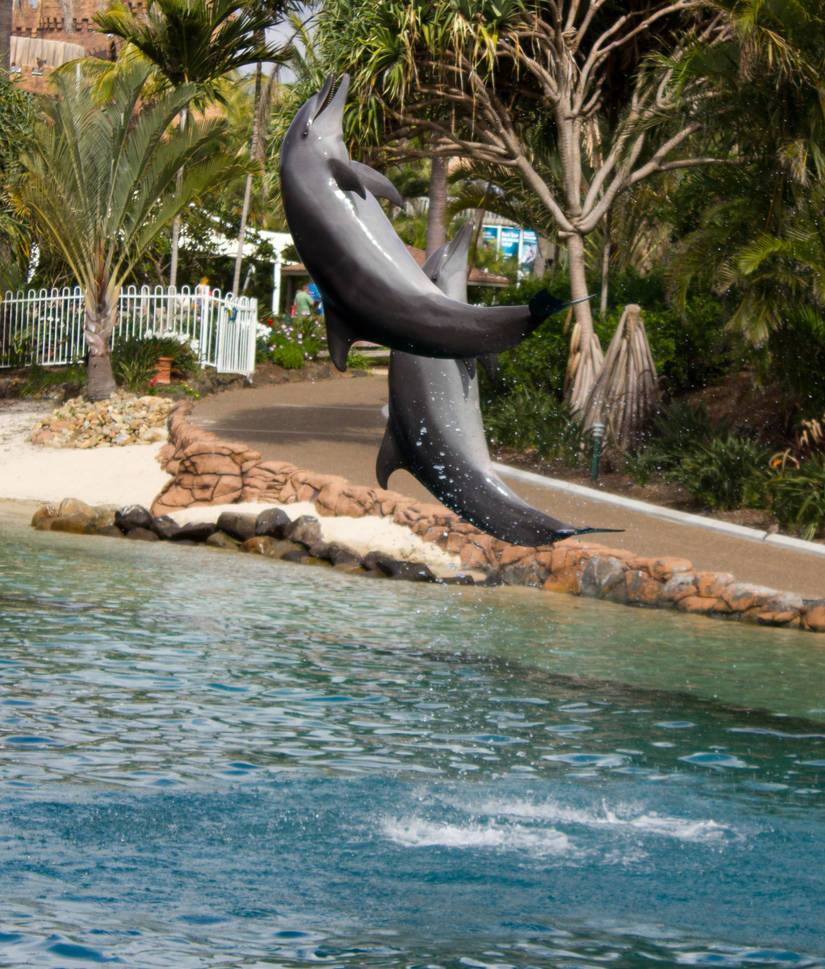Seaworld Portrait STOCK - Seaworld 2013-67 by fillyrox on DeviantArt