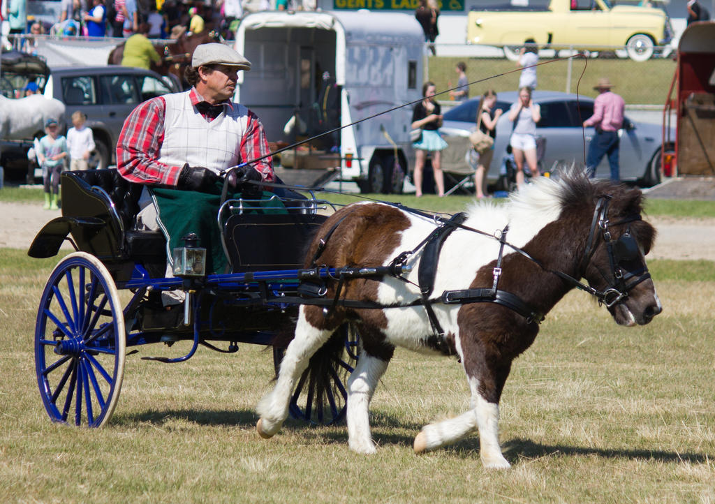 STOCK GC Show 2013-10 by fillyrox on DeviantArt