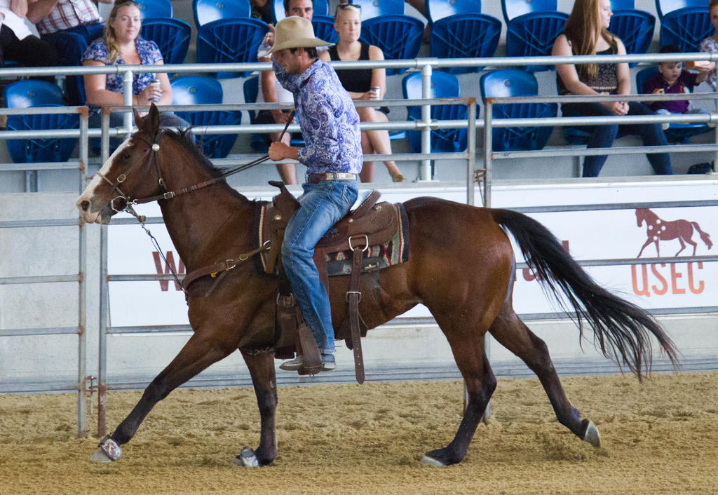 Running Rodeo Stock STOCK 2013 Rodeo-36 by fillyrox on DeviantArt