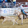 STOCK 2013 Rodeo-72