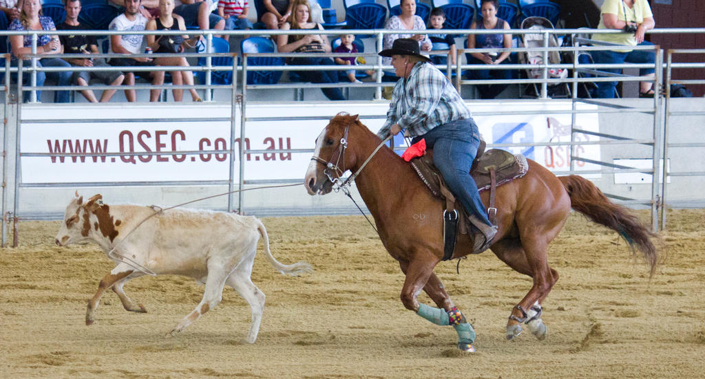 Trach Rodeo Stock STOCK 2013 Rodeo-60 by fillyrox on DeviantArt