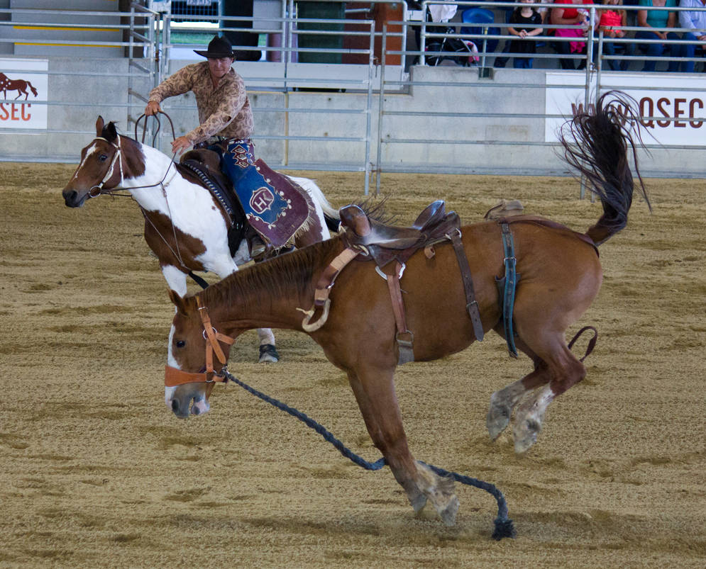 STOCK 2013 Rodeo-111 by fillyrox on DeviantArt