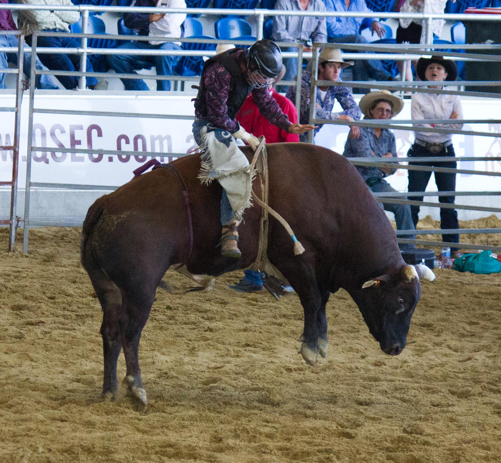 STOCK 2013 Rodeo-179
