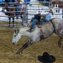 STOCK 2013 Rodeo-152