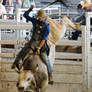 STOCK 2013 Rodeo-231