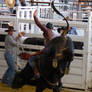 STOCK 2013 Rodeo-230