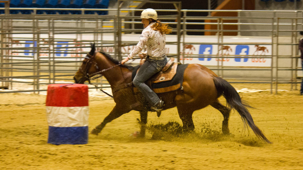 STOCK 2013 Rodeo-278 by fillyrox on DeviantArt