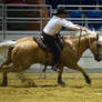 STOCK 2013 Rodeo-254