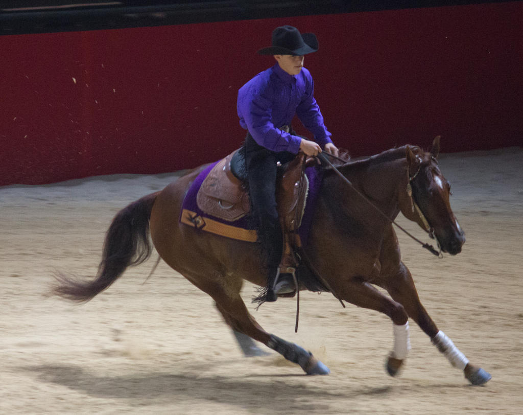 STOCK - Equitana 2013-158