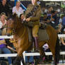 STOCK - 2014 Total Equine Expo-33