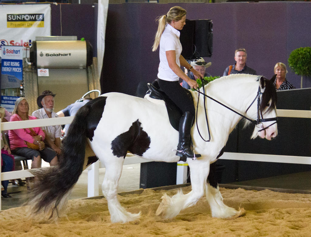 STOCK - 2014 Total Equine Expo-63