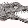 Mesenosaurus romeri
