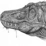 Tarbosaurus bataar