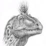 Cryolophosaurus  head