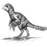 Gigantoraptor  baby