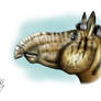 Hipparion (Proboscidipparion) sinense  head