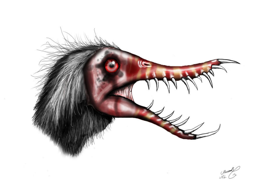 Rhamphorhynchus muensteri