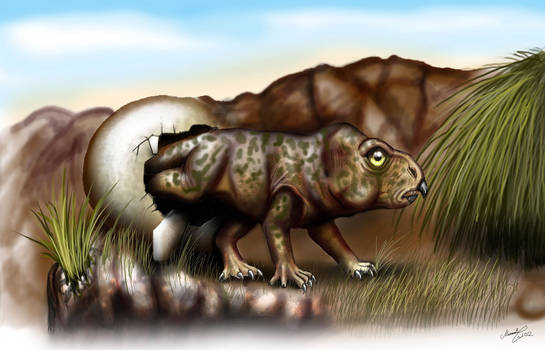 Protoceratops  cub