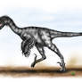Velociraptor mongoliensis