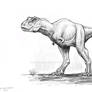 Tyrannosaurus  Sketch